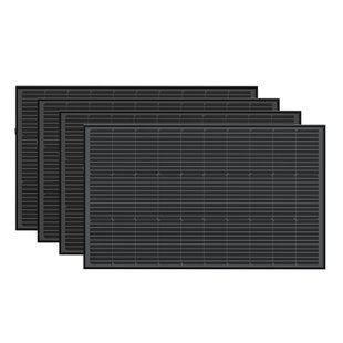 Набір сонячних панелей EcoFlow 4100 Solar Panel Стаціонарні 813 фото