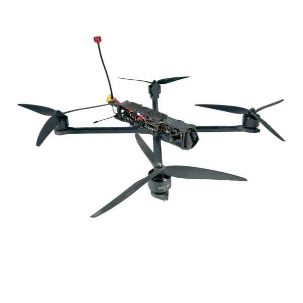 FPV дрон 10 дюймів BPK-10 WYVERN ( 2.5-3W / 5.8 GHz / ELRS / 915 MHz / DAY / 5 kg ) Камікадзе без АКБ WYVERN фото