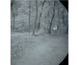 Панорамні окуляри нічного бачення Nortis 18W GPNVG Pro kit (IIT GTX+ White) A03298 фото 15