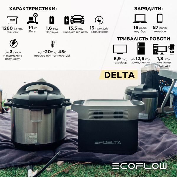 Зарядна станція EcoFlow DELTA (EFDELTA1300-EU) 687 фото